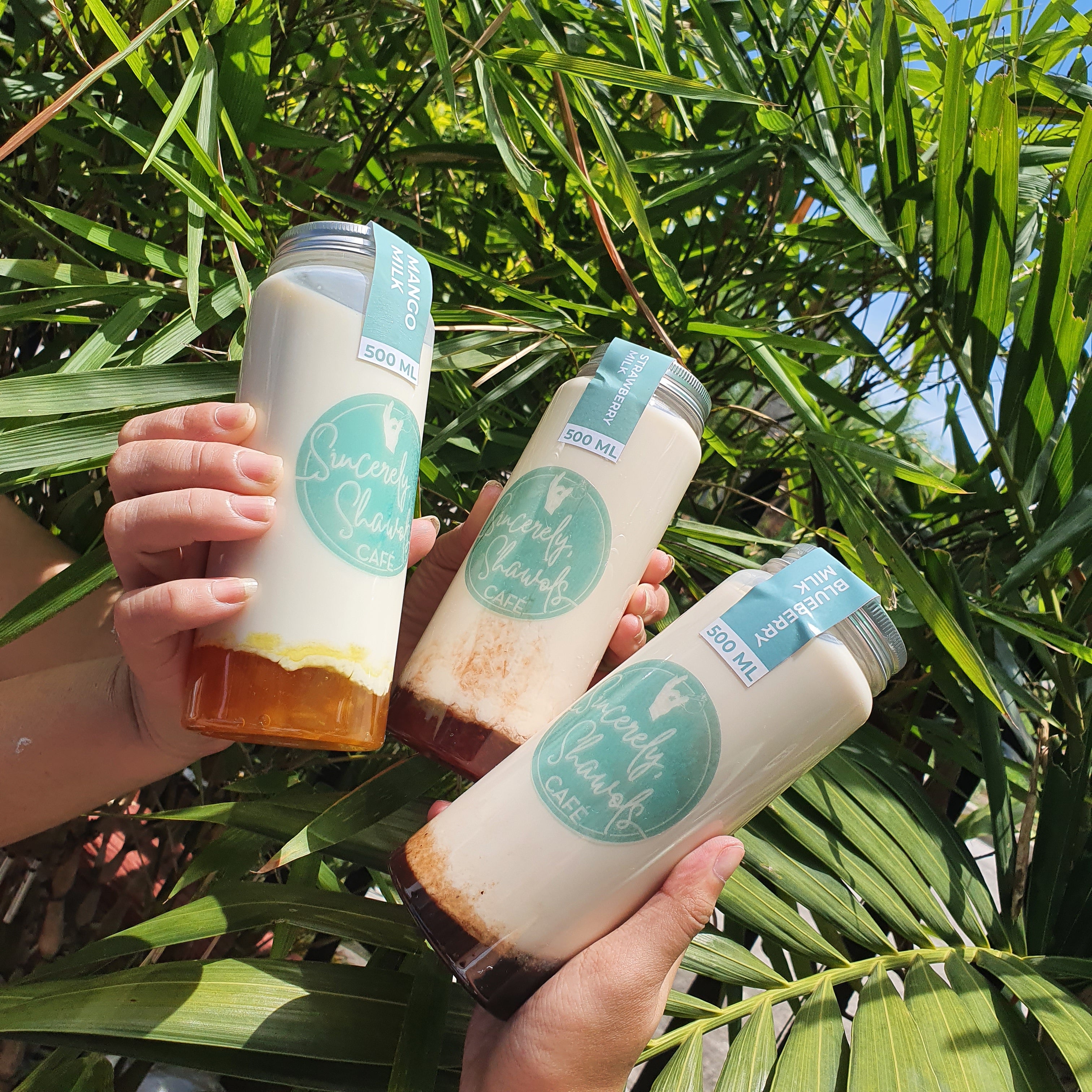 Fruit Milk Drinks